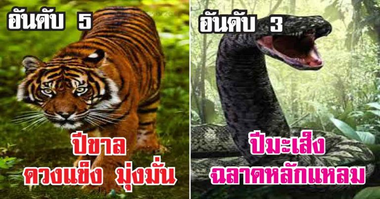 ชะตาพลิกผัน! 5 นักษัตร ดวงเศรษฐีจับ จะได้โชคแบบไม่ทันตั้งตัว พร้อมวิธีเสริมลาภ สุดเฮง ไม่รวยวันนี้จะรวยวันไหน!