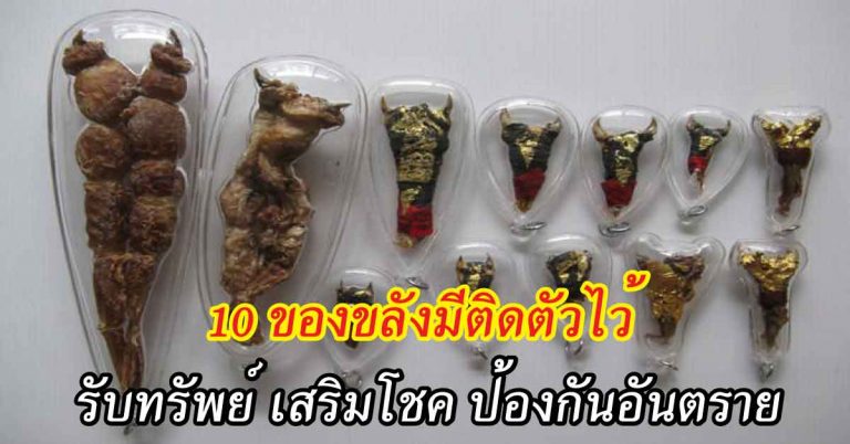 รู้จักไหม!? ของขลังจากสัตว์ที่ “ไม่ต้องปลุกเสก” แต่มีฤทธิ์เดชแรงกล้า อย่าท้าทาย!!