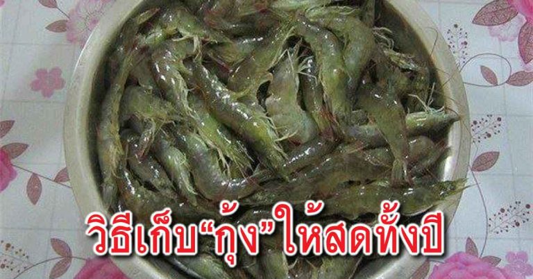 วิธีเก็บรักษาคุณภาพ “กุ้ง” ให้คงอยู่ได้ตลอดทั้งปี ด้วยวิธีง่ายมากๆ เด็กก็ทำได้!!!