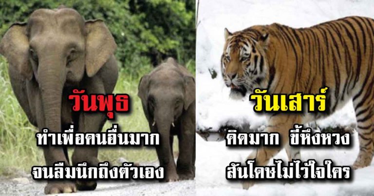 แม่นมากจริง!! ส่วนลึกจิตใจของคนทั้ง 7 วันเกิด ตำราลักษณะสัตว์-เทพ โดย อ.เวทย์ ฟ้าประทาน