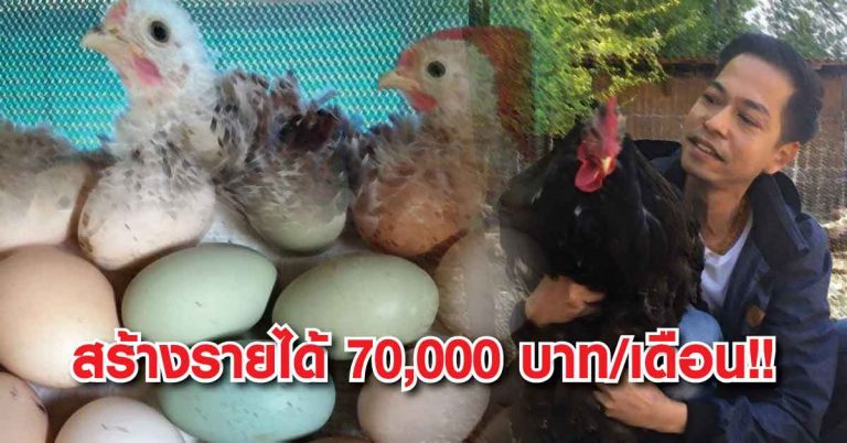 เผยชีวิต “อดีตกุ๊กไทย” ในต่างแดน กลับบ้านเกิดหันมาเลี้ยงไก่ ทำรายได้ 7 หมื่นต่อเดือน