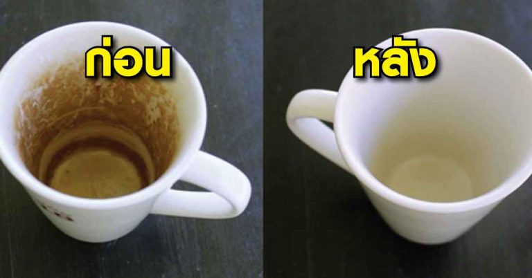 คราบชา-คราบกาแฟ ที่ติดในแก้ว ลองทำความสะอาดด้วย 7 วิธีนี้ รับรองแก้วขาววิ๊งเหมือนได้ใหม่