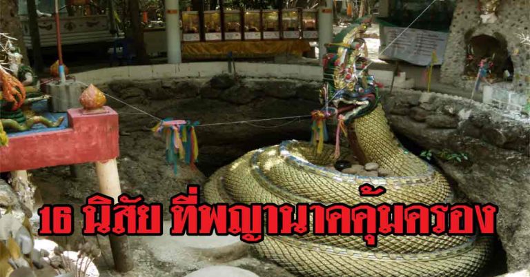 นิสัยแบบนี้ เป็นคนที่มีวาสนากับพญานาค เชื่อว่าท่านคุ้มครองอยู่