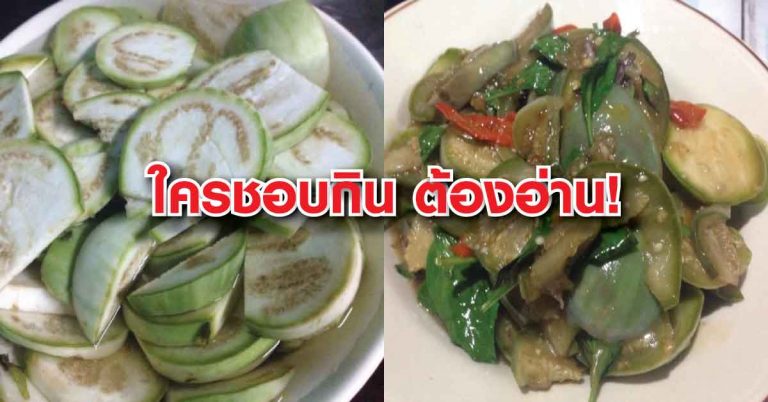 เหลือเชื่อ! กินมะเขือเปราะทุกวัน จะส่งผลให้ร่างกายของคุณเปลี่ยนไปแบบนี้