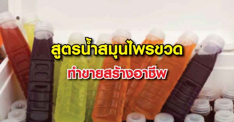 แจกฟรี! 6 สูตรการทำน้ำสมุนไพรขวด ทำขายสร้างรายได้กำไรดี