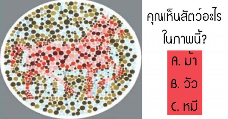 เห็นตัวอะไรในภาพนี้? บอกเลยว่ามันจะทำให้ “คุณเข้าใจตัวตน” ของตัวเองมากขึ้น!