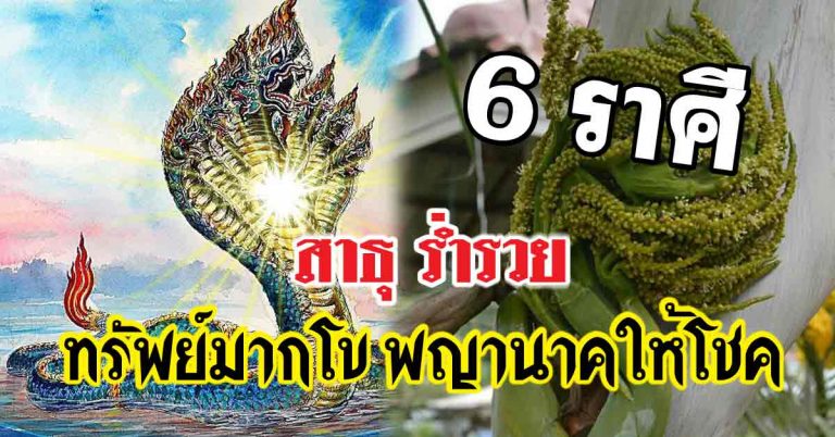 ทรัพย์มากโข 6 ราศีดาวดวงเด่นดัง เสี่ยงดวงเสี่ยงทายโดดเป็นสง่า