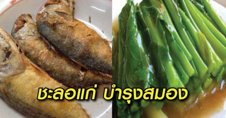 รีบหามากิน! 10 อาหารบำรุงสมอง แถมชะลอความแก่ได้ดี