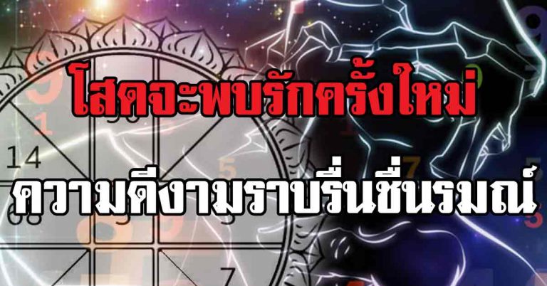 โสดจะพบรักครั้งใหม่ เกิดวันใดในช่วงนี้จะพบเจอแต่ความดีงามราบรื่นชื่นรมณ์