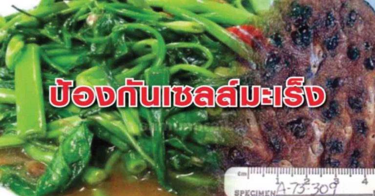 10 ประโยชน์ของการกินผักชนิดนี้ อ่านจบแล้วไปซื้อที่ตลาดมากินด่วน!