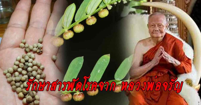 สูตรเด็ดดวง 11 สมุนไพรรักษาสารพัดโรคจาก หลวงพ่อจรัญ