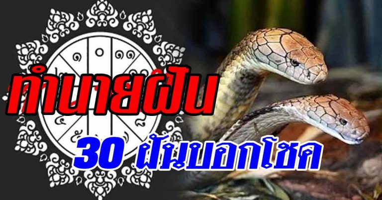 30 ทำนายฝัน ฝันดีฝันร้ายเลขเด็ดครบชุด ฝันวันนี้พรุ่งนี้รวย ใครพบโชคเช็กได้