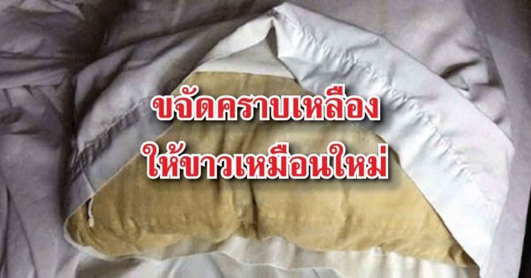 ขจัดคราบเหลืองฝังลึกติดหมอน ให้ขาวเหมือนใหม่ ด้วยวิธีง่ายๆ