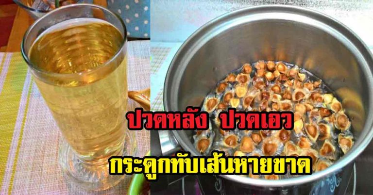 สูตรน้ำต้มเมล็ดมะรุม สรรพคุณครอบจักรวาล แก้ปวดหลัง ปวดเอว พร้อมวิธีทำ