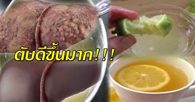 แนะนำการทำความสะอาดตับ ล้างสารพิษจากตับ อย่างเห็นผล