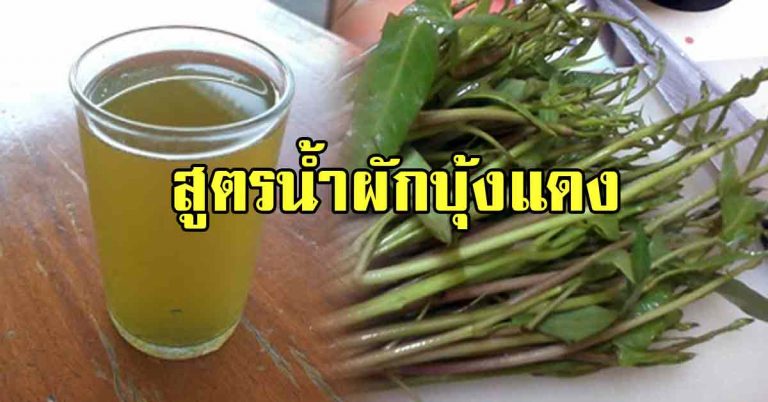 แจกน้ำผักบุ้งแดง ขจัดสารพิษล้างพิษคาเฟอีน นิโคติน ได้อีกด้วย