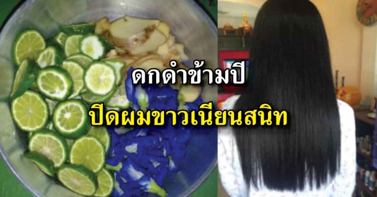 สูตรเเชมพูผมนุ่มข้ามวัน ดกดำข้ามปี ไม่มีสารเคมีตกค้างให้เสี่ยงเป็นมะเร็ง