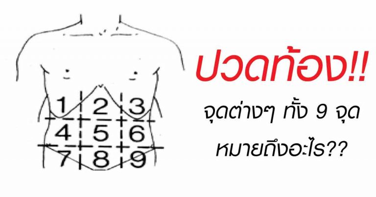 มาดูกันเลยว่า อาการปวดท้องเราทั้ง 9 จุด นั้นหมายถึงอะไร !