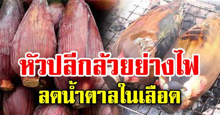 ตำราไฟ หัวปลีย่าง รักษาเบาหวาน บำรุงร่างกาย สูตรปู่ย่าโบราณ