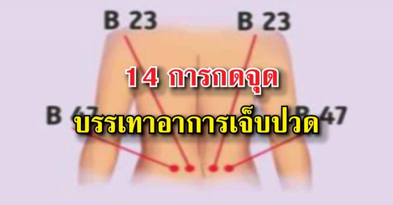 14 การกดจุด แก้อาการปวดเมื้อย อาการเจ็บป่วย ในชีวิตประจำวันได้ง่ายๆ