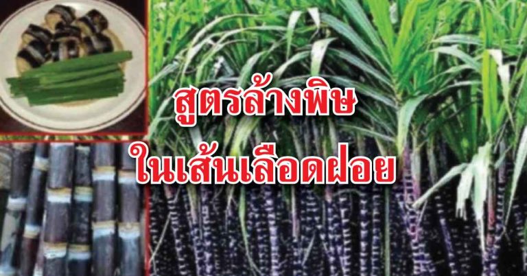 สูตรสมุนไพรล้างพิษในเส้นเลือดฝอย แค่มี 2 อย่างนี้ พร้อมวิธีกินที่ถูกต้อง