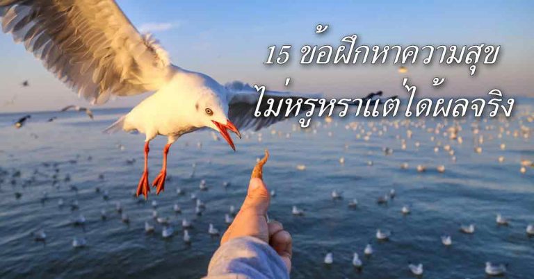 15 ข้อฝึกหาความสุขแบบตัดตรง(ไม่หรูหราแต่ได้ผลจริง)