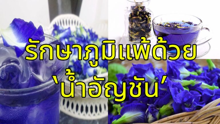 แก้ภูมิแพ้ด้วย “น้ำดอกอัญชัน” แจก 2 สูตร ทำแล้วได้ผล