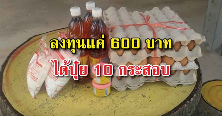 วิธีทำปุ๋ย 10 กระสอบ ด้วยจุลินทรีย์สังเคราะห์แสง ได้ผลดีเกินคาด ด้วยงบเพียงแค่ 600 บาท