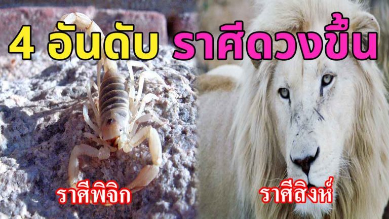 ดวงขึ้น 4 ราศีมหาเฮง หยิบจับเงินทอง มีเกณฑ์ประสบความสำเร็จสูง