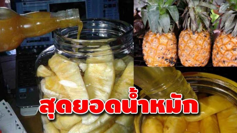 แจกฟรี! สูตรน้ำหมักสับปะรด สุดยอดยาบำรุงร่างกาย ดีต่อสุขภาพมากๆ