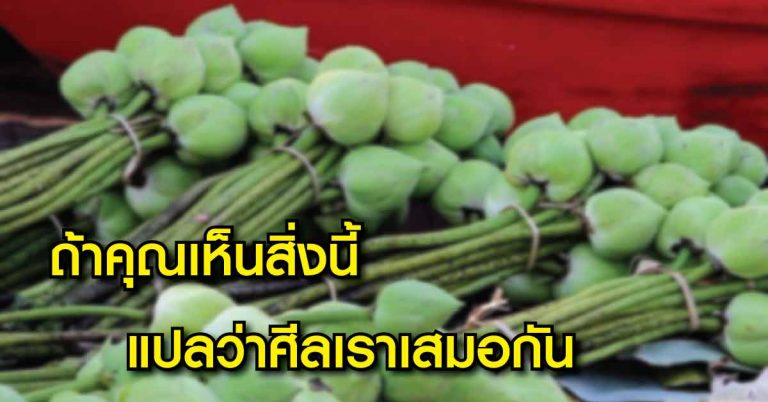 คำว่าศีลเราเสมอกันเป็นอย่างไร อยากให้ทุกคนได้ลองอ่าน