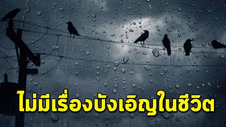 คำสอนดีๆ จากพระพุทธองค์ 5 ข้อที่พบเจอในชีวิตล้วนไม่ใช่เรื่องบังเอิญ