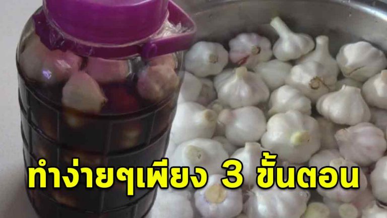 แจกฟรี! สูตรกระเทียมดองผิวใส วิธีทำง่ายมากเพียง 3 ขั้นตอนก็ได้กับแกล้มชั้นเลิศแล้ว