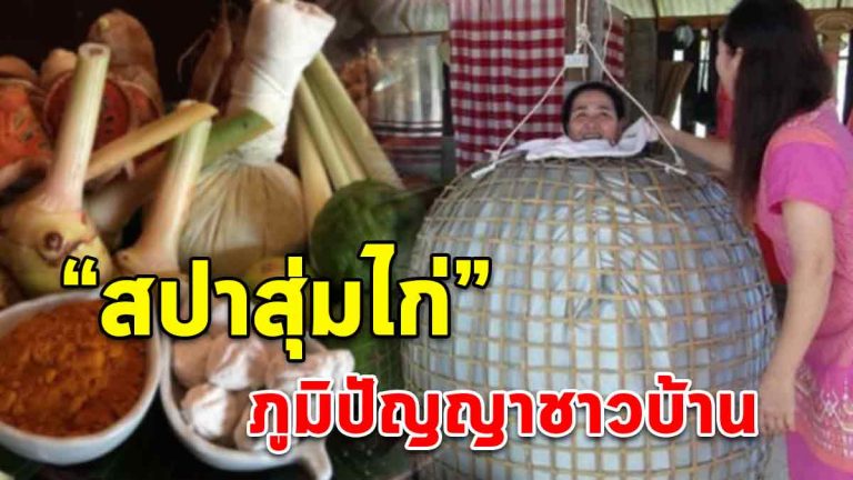 สปาสุ่มไก่ ไอเดียจากภูมิปัญญาชาวบ้าน สร้างรายได้ดีมากๆ