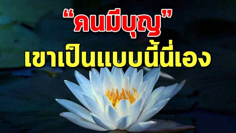 ทำอย่างไร ถึงเป็นคนที่มีบุญมาก ลองอ่านแล้วทำตาม