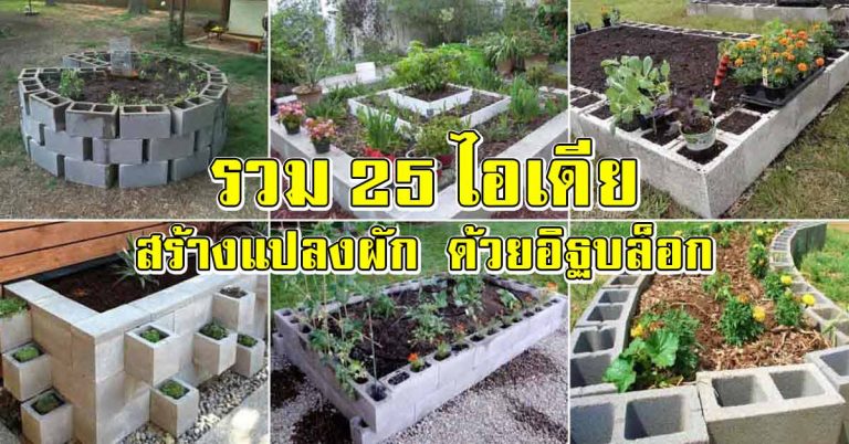 รวม 25 ไอเดีย การสร้างแปลงผักง่ายๆ ด้วยอิฐบล็อก