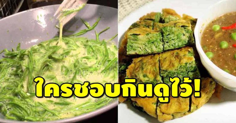 กินมานานเพิ่งรู้ “ไข่ทอดชะอม” กินบ่อยๆ ส่งผลต่อร่างกายมหาศาล