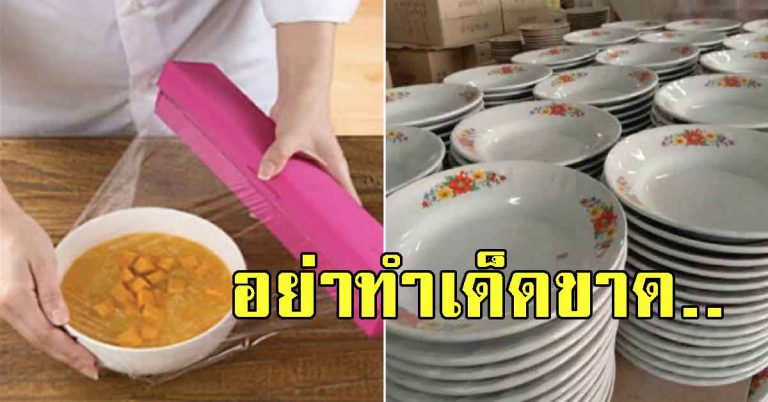 6 ภาชนะ อย่าใช้คู่กับไมโครเวฟ หลายคนยังไม่เคยรู้