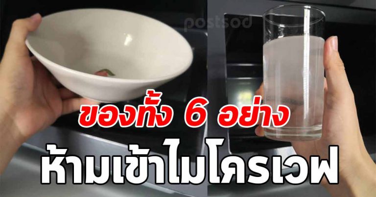 ไม่นำเข้าไปนะ 6 ภาชนะ ห้ามเอาไปใส่ช่องไมโครเวฟ