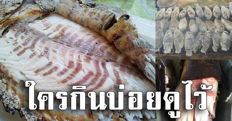 คนที่กินปลาบ่อย 6 สิ่งที่เกิดขึ้นเมื่อกินปลาทุกวัน