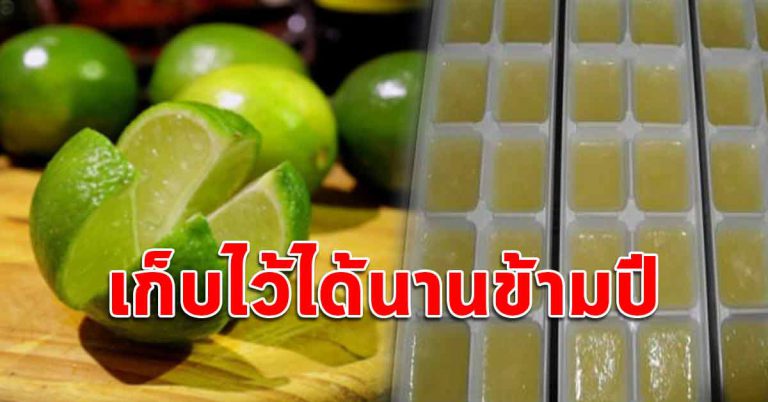 เคล็ดลับเก็บมะนาวให้สดใหม่ เก็บไว้ใช้ได้นานข้ามปี