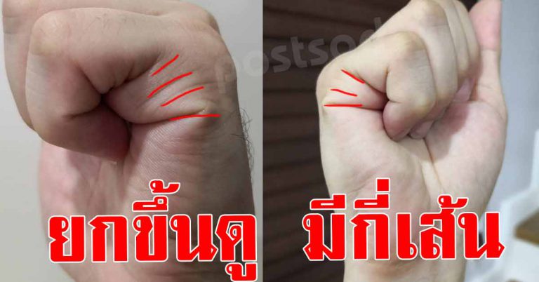 ยกขึ้นดู เส้นลายมือมีกี่เส้น 1-6 เส้นบ่งบอกลักษณะของคุณได้ตรงใจมาก