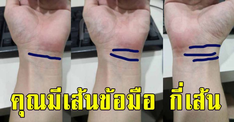 4 เส้นข้อมือ เส้นที่สื่อถึงอนาคตจะมีชีวิตเป็นยังไง