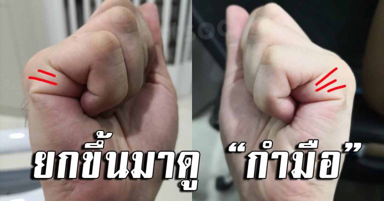 ยกขึ้นมอง กำมือด้านข้าง มีกี่เส้น สามารถบอกนิสัยได้ตรงเผ่ง