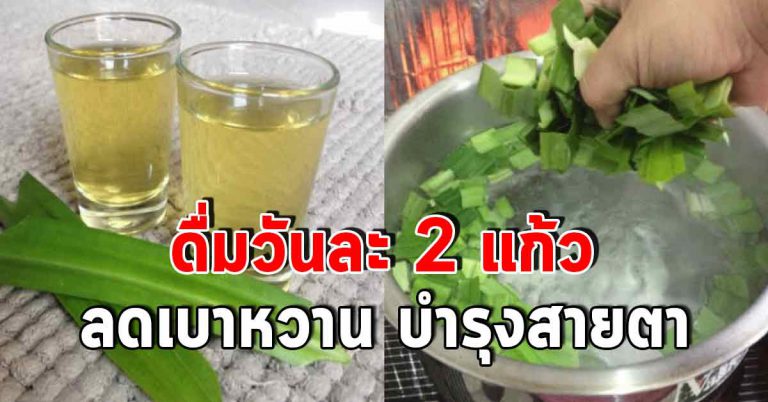 น้ำใบเตยสะระแหน่ ดื่ม 2 แก้ว ร่างกายเปลี่ยนดีมาก