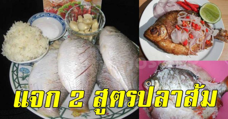 หามานานเจอแล้ว ทำปลาส้ม ที่ทำเองได้ เก็บไว้ทำกิน 2 สูตร