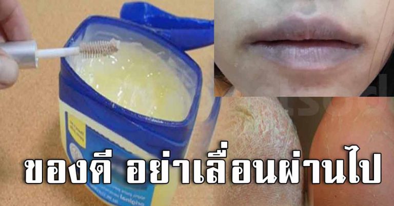 รีบหยิบมาใช้เลย บ้านไหนมีวาสลีน ทาหน้า ไม่คิดว่าดีแบบมากขนาดนี่