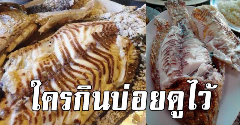 คนที่กินปลาบ่อยๆ 6 สิ่งที่เกิดขึ้นเมื่อกินปลาติดๆกันทุกวัน