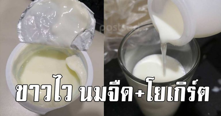 นมจืด ผสมมะนาว 6 สูตรหน้าขาว ขาวจนเพื่อนทัก ทำง่ายมาก งบประหยัด