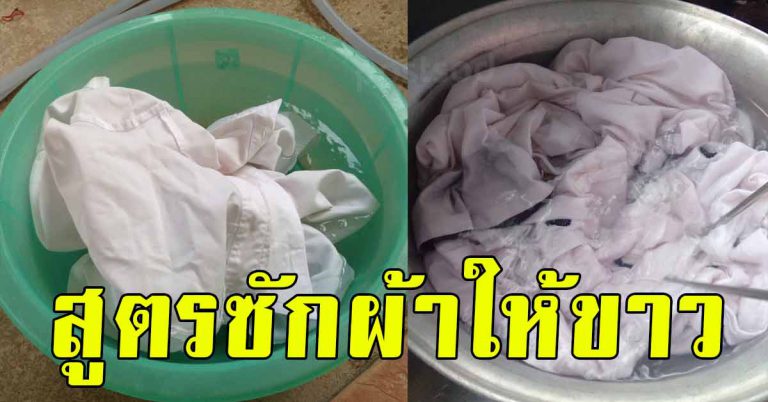 5 สูตรซักผ้าขาว เคล็ดลับคืนความขาวให้ผ้า กลับมาขาวจั้วะเหมือนใหม่